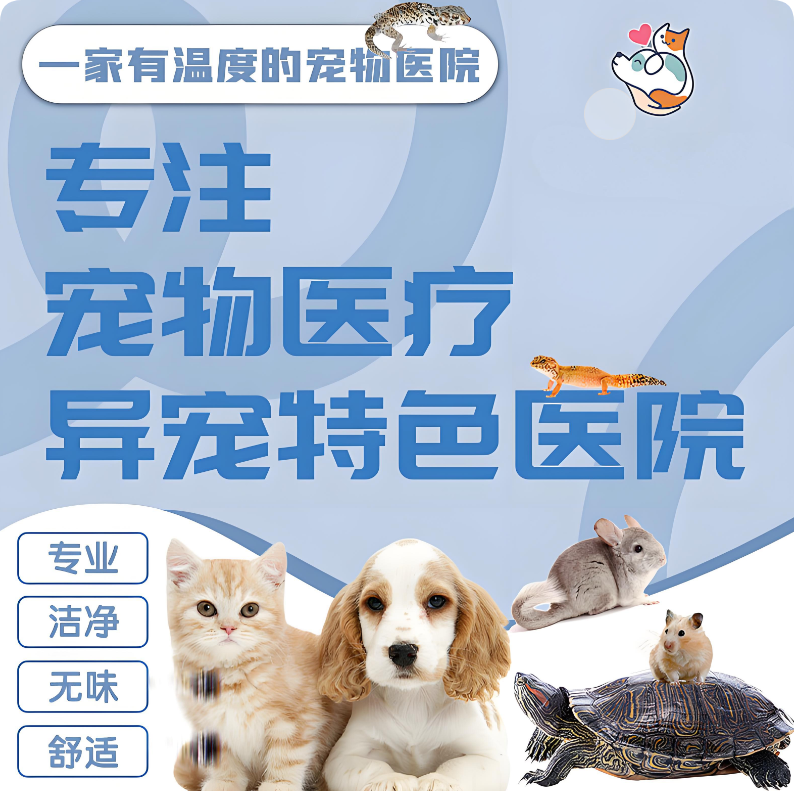 巧用美團/大眾點評“問大家”，讓寵主放心選擇你的醫(yī)院